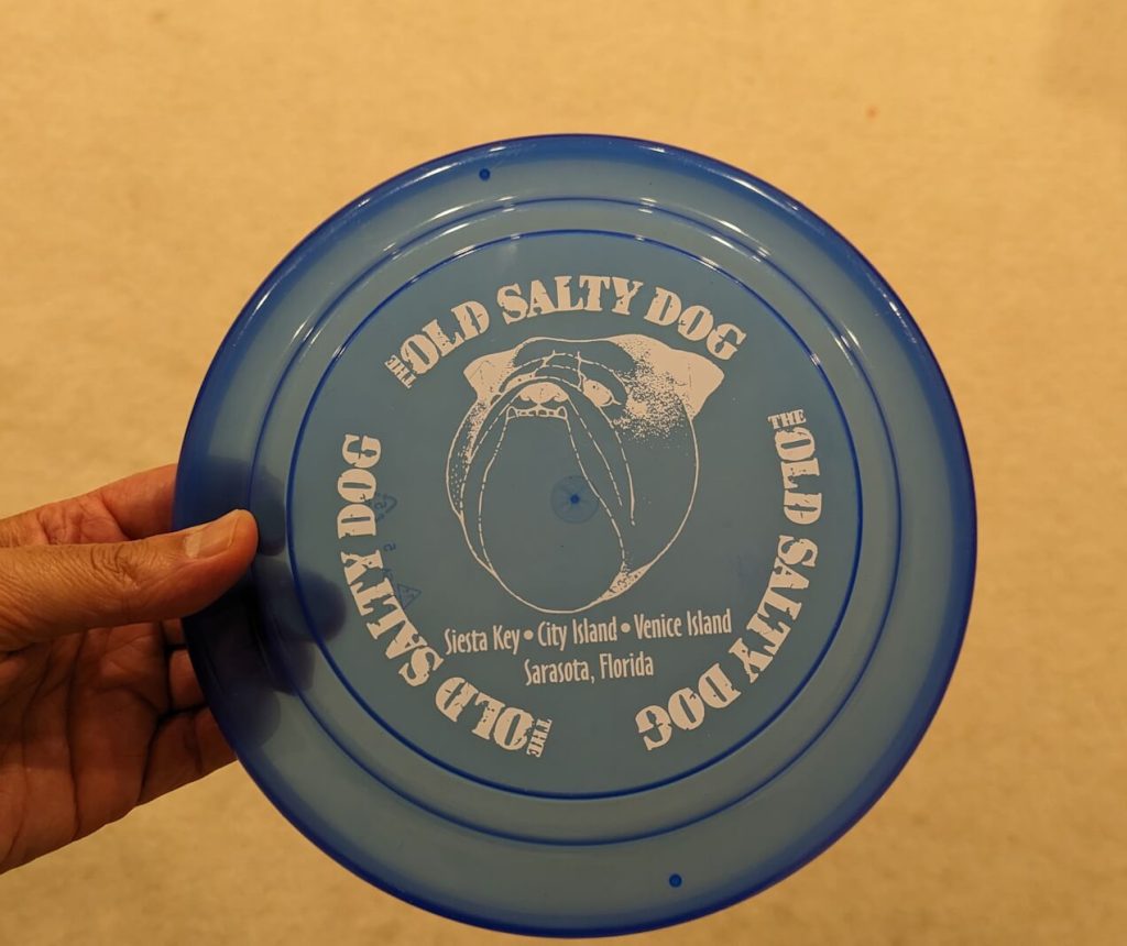 Old rusty dog frisbee