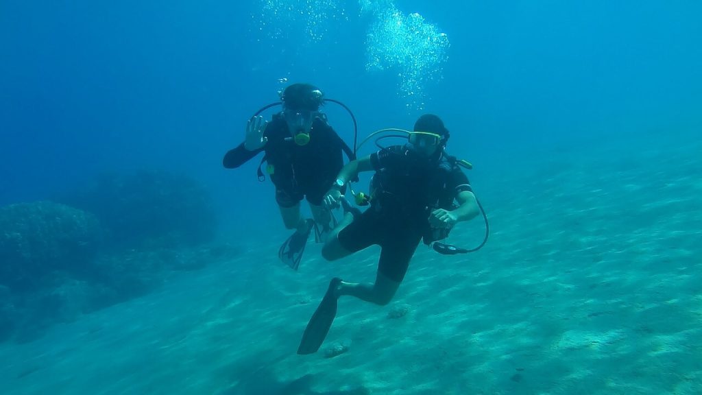 a couple of scuba divers