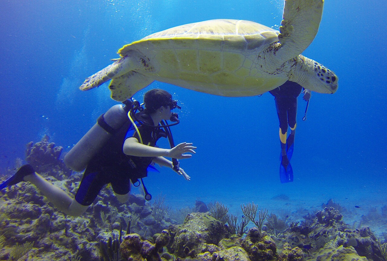 scuba diving in siesta key