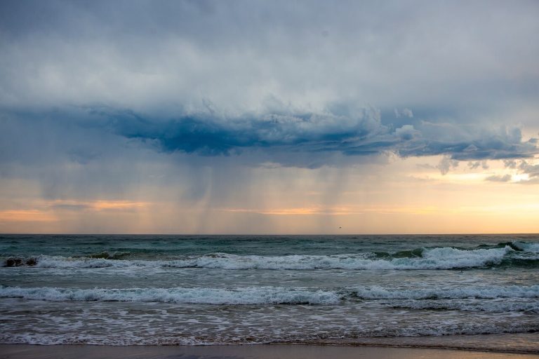 Rainy Day Activities in Siesta Key