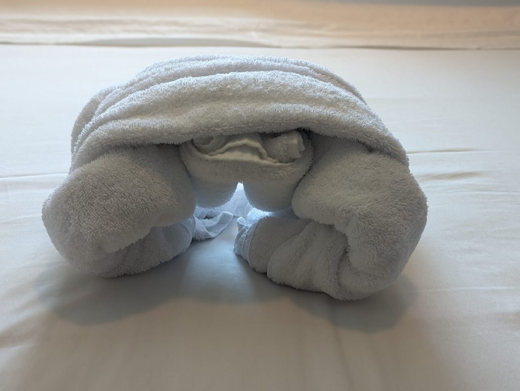 turtle towel